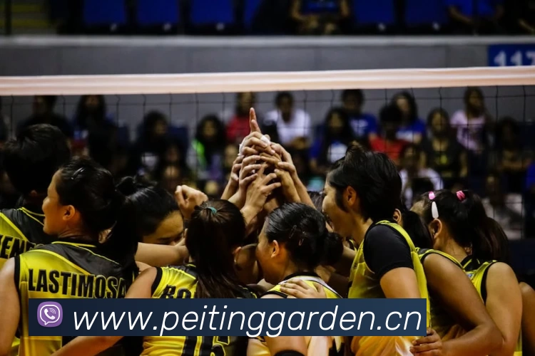 米乐官方网页版 - 米乐(中国)服务体系